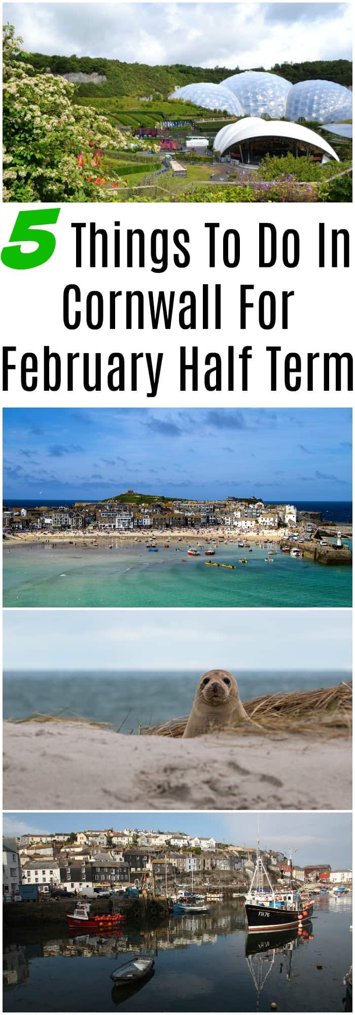 5 Things To Do In Cornwall For Half Term