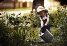 boy watering garden