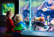 Kids watching fish in tropical aquarium